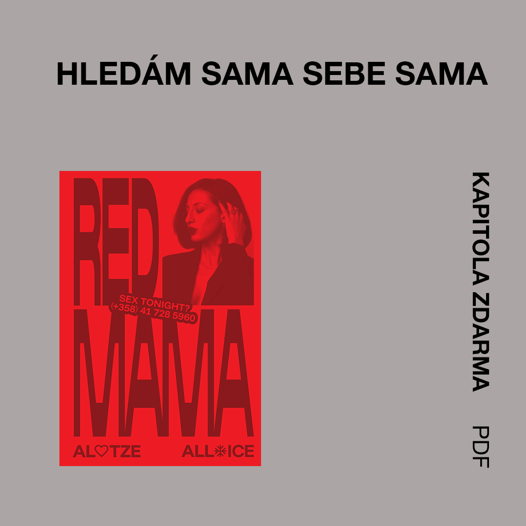 Hledám sama sebe sama - kapitola z knihy zdarma (pdf)