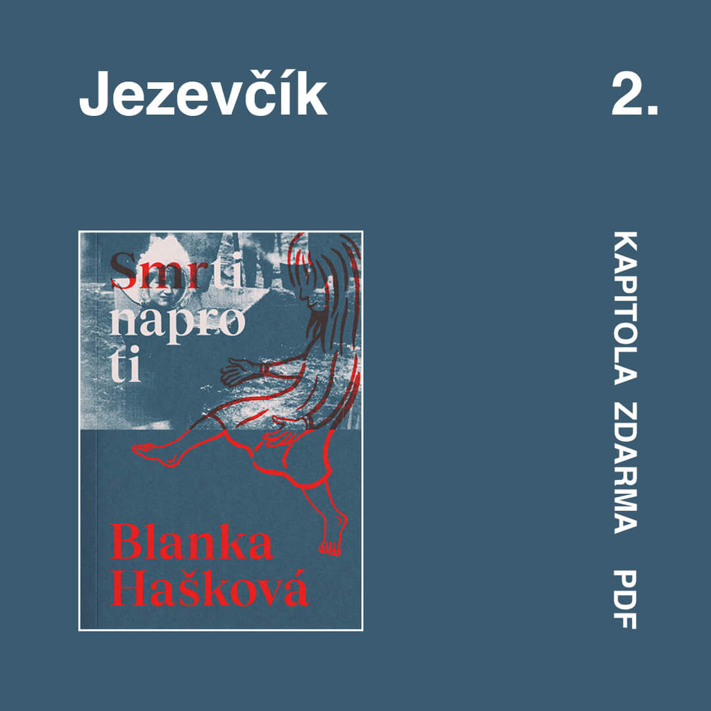 Jezevčík - kapitola z knihy zdarma (pdf)